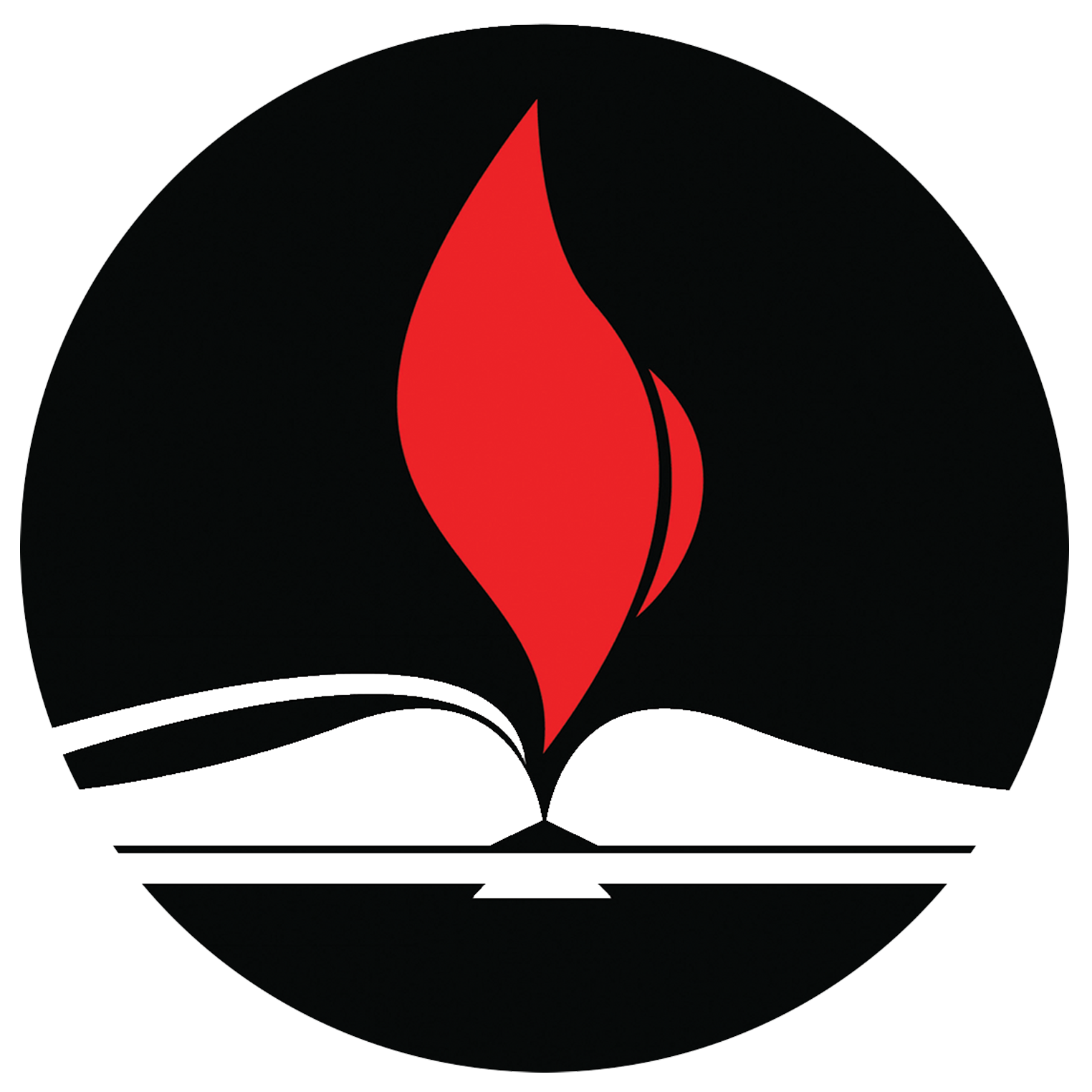 PMS Logo